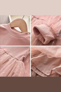 Pink Mesh Dot Print Princess dress